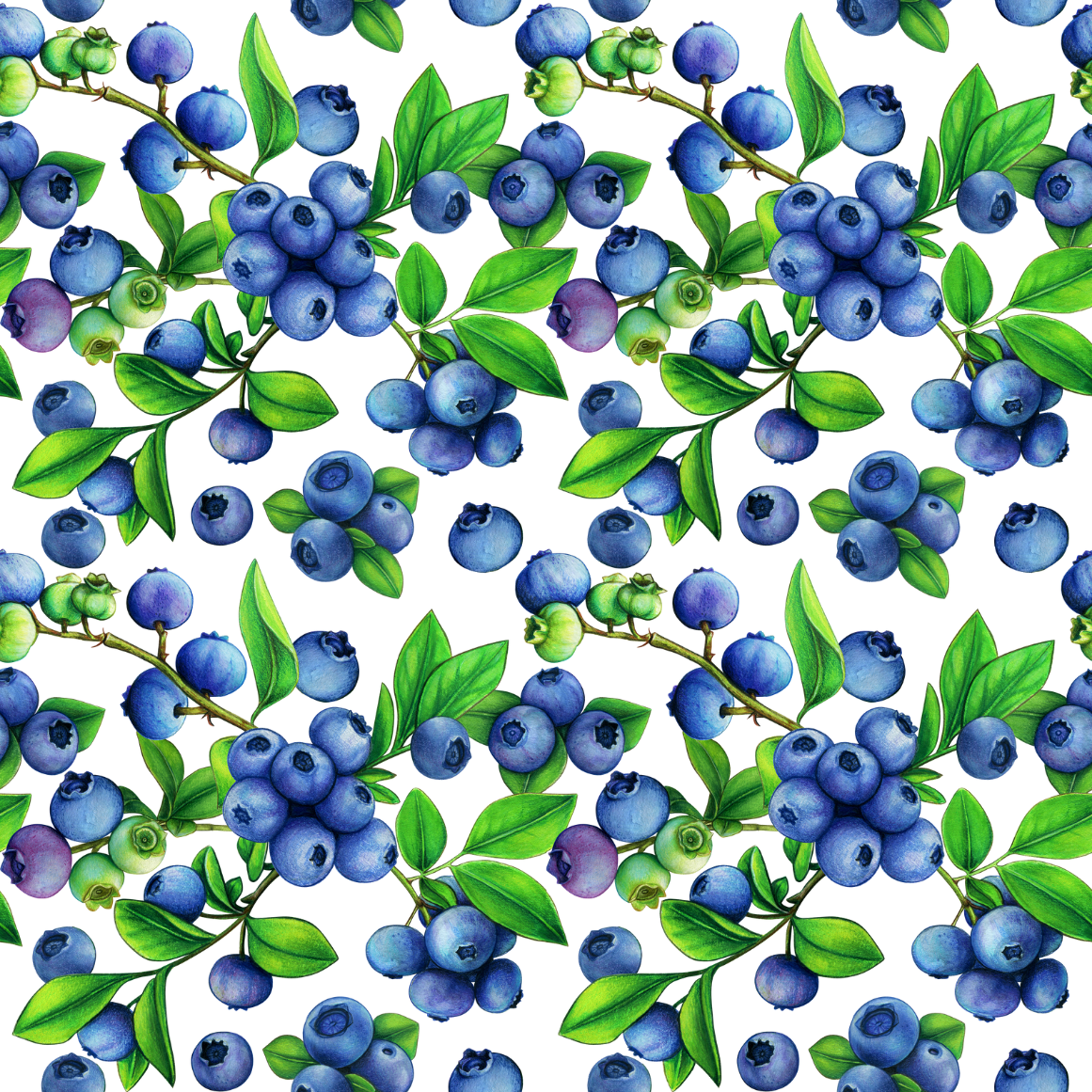 Pattern of blueberries and green leaves on a white background