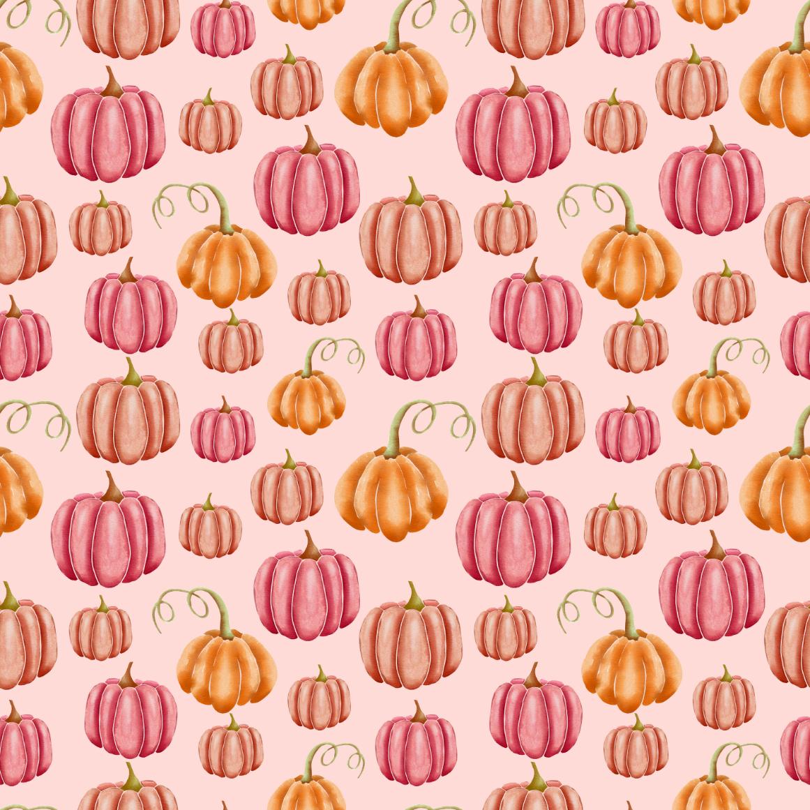 Blush Pumpkins