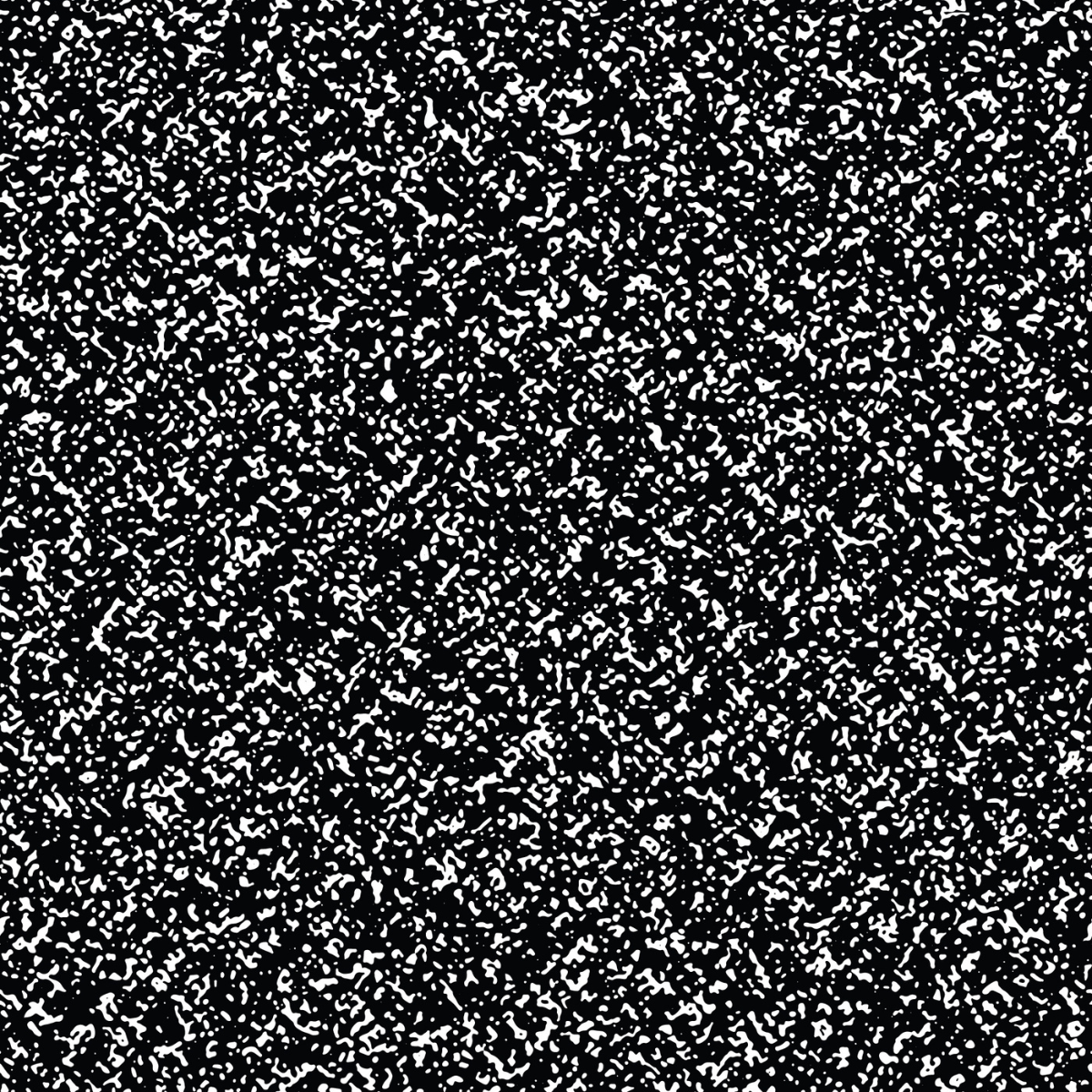 Black and white speckled pattern resembling noise or static.