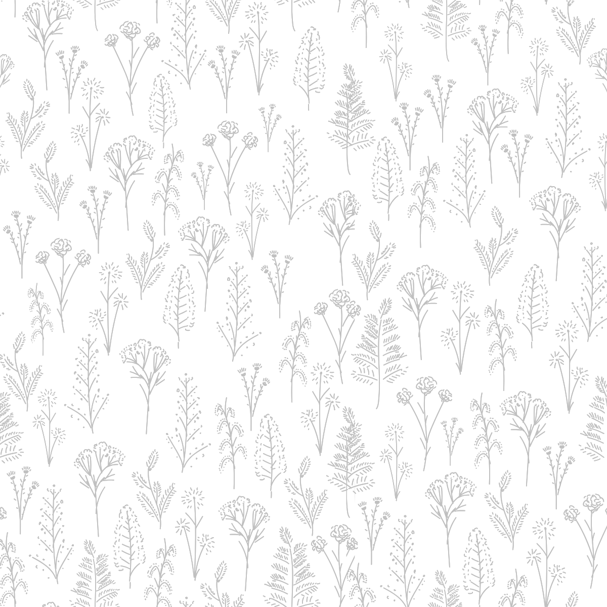 A printed sheet of acrylic featuring a botanical pattern with various plants and flowers in silver colour on a white background.