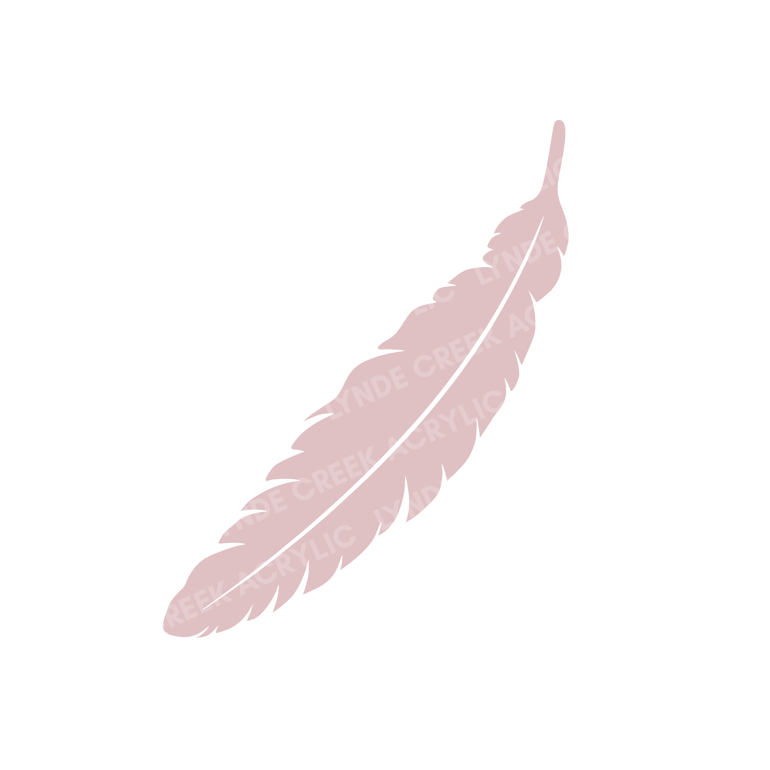 Feather Blanks