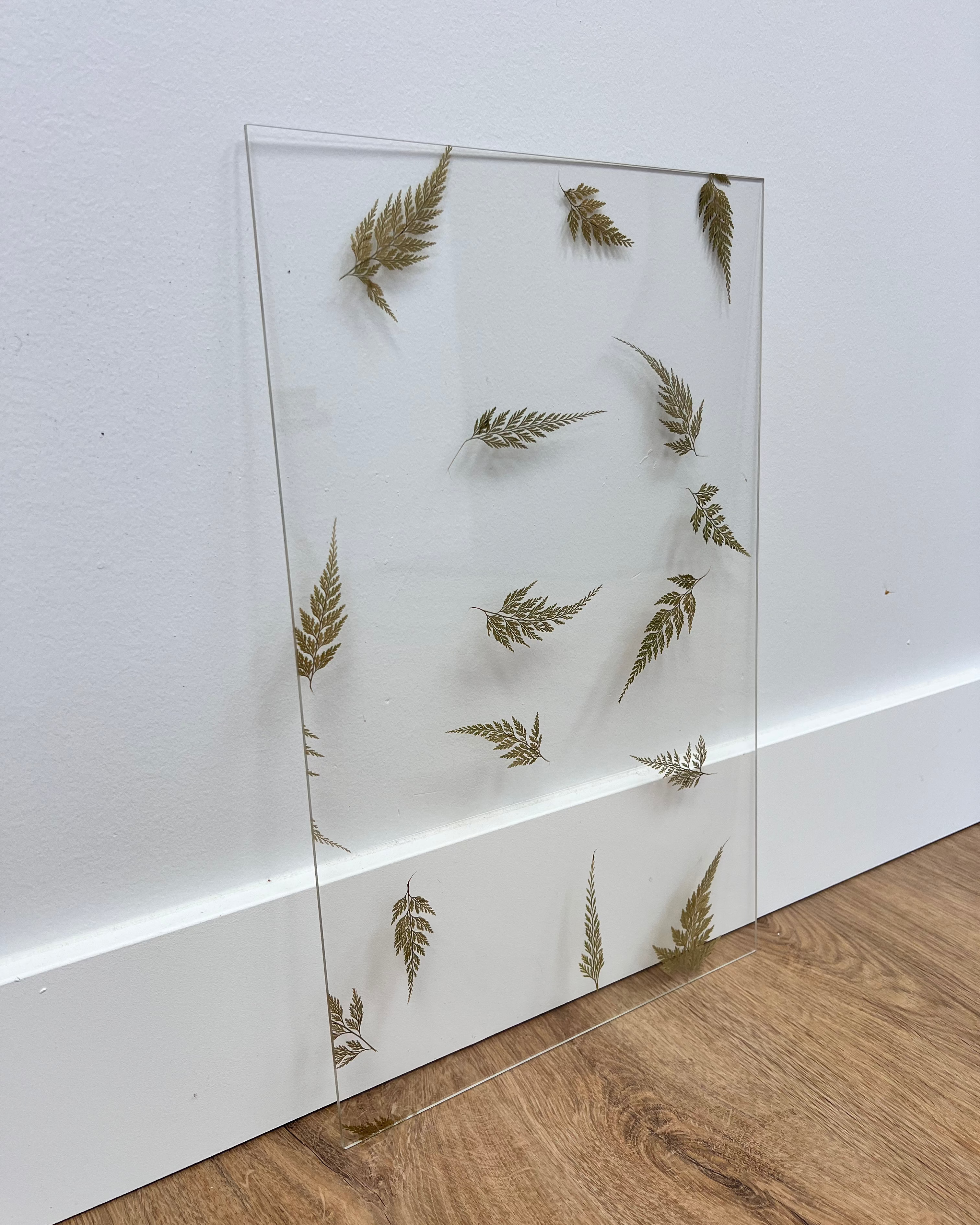 Real Pressed Ferns in Clear Acrylic