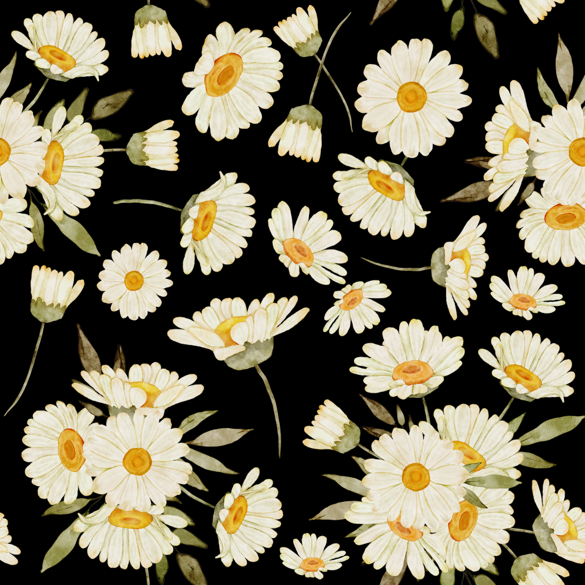 Painted Daisies