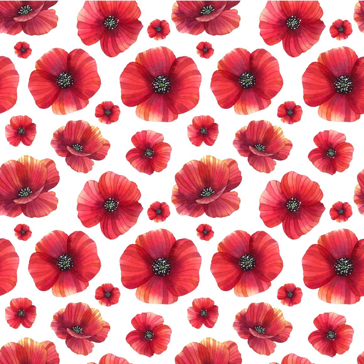 Pattern of red poppies on a white background