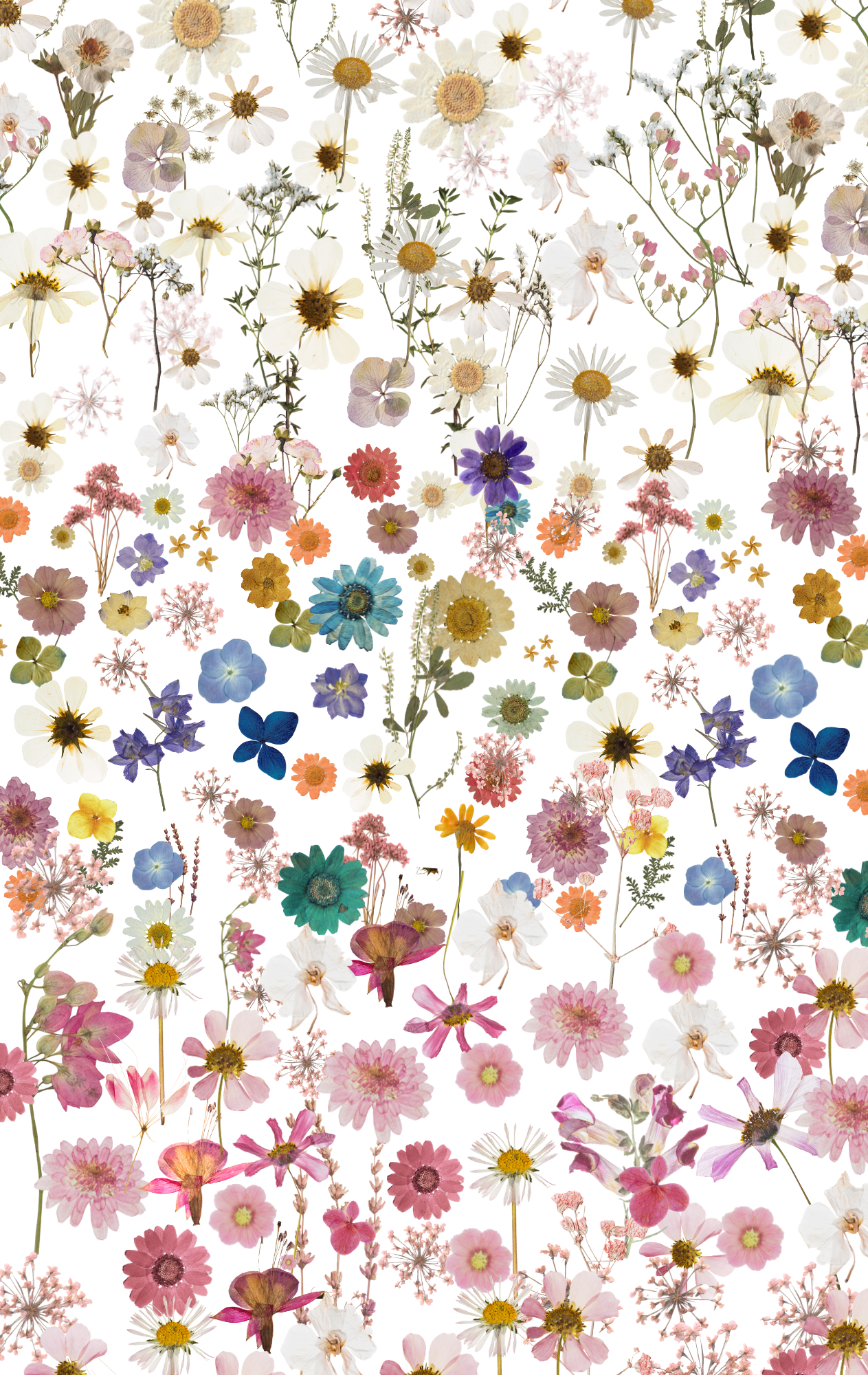 A printed acrylic sheet with a floral pattern consisting of various colors such as pink, purple, and green, resembling pressed flowers.