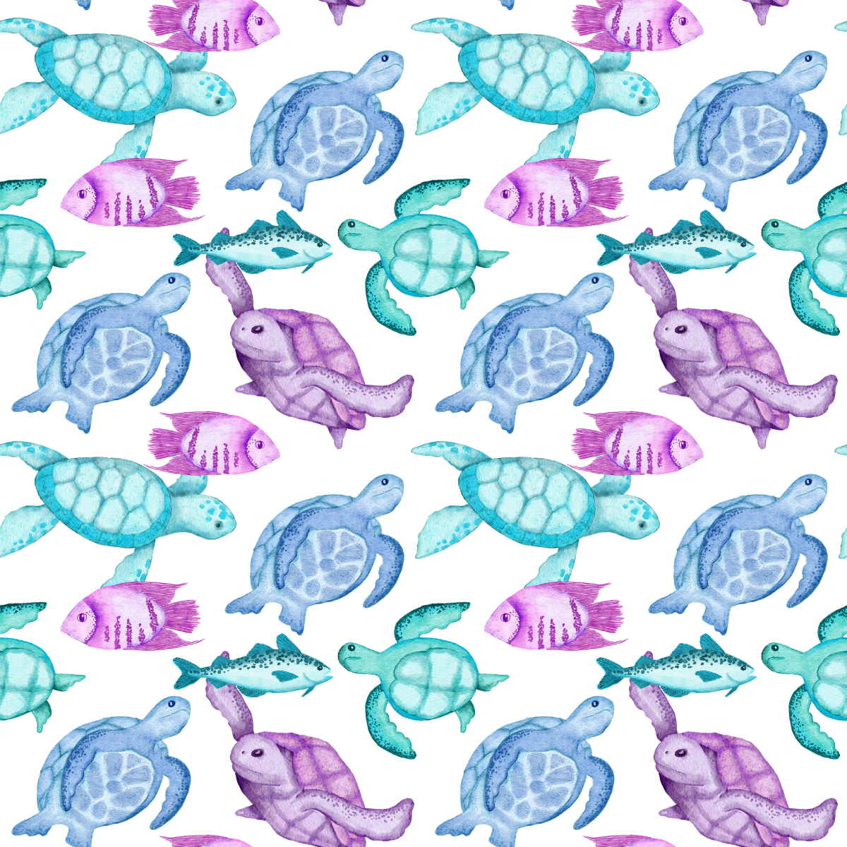 Turtle Turtle