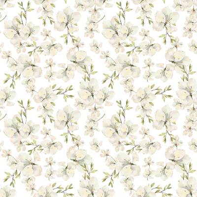 Apple Blossoms