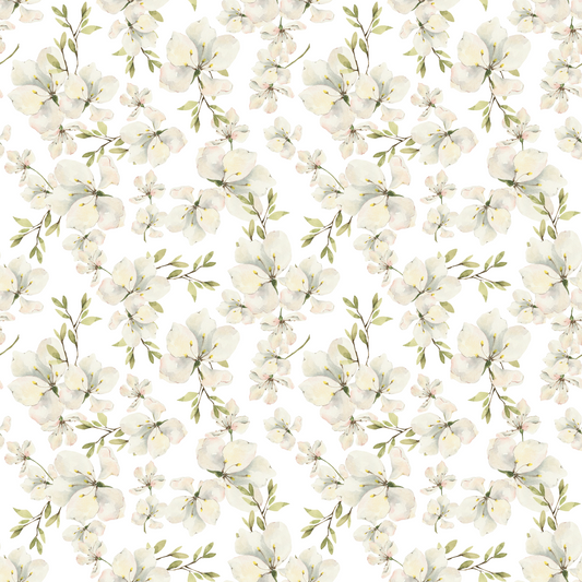 Apple Blossoms