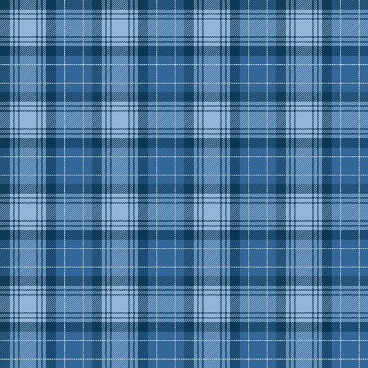 Blue plaid pattern fabric texture