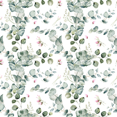 Eucalyptus Leaves