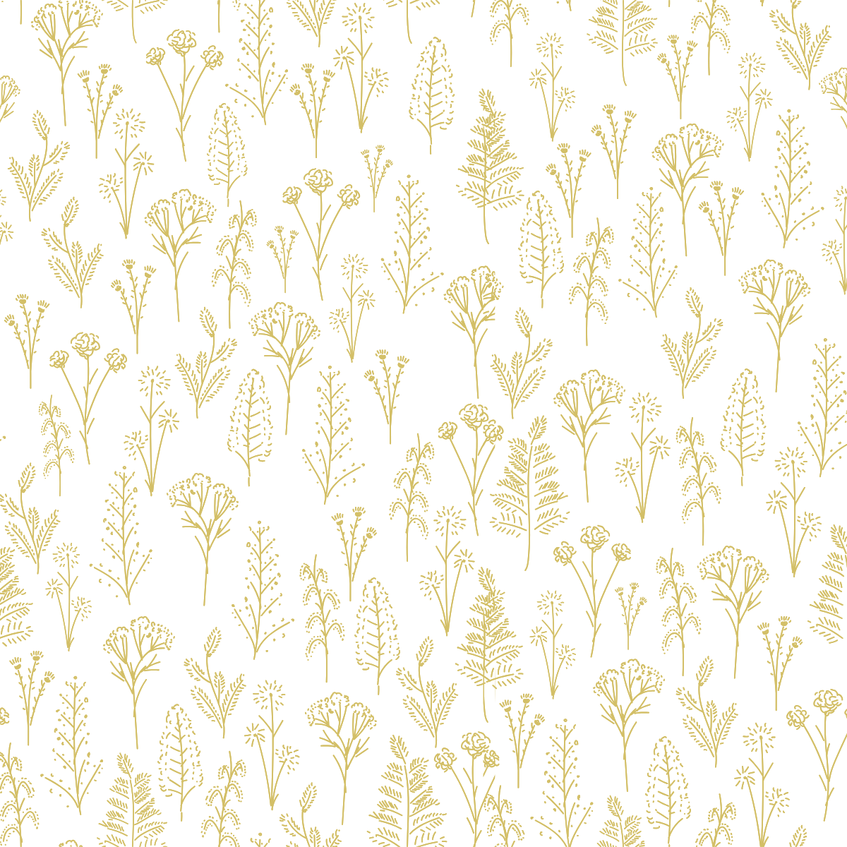 A printed sheet of acrylic featuring a botanical pattern with various plants and flowers in gold colour on a white background.