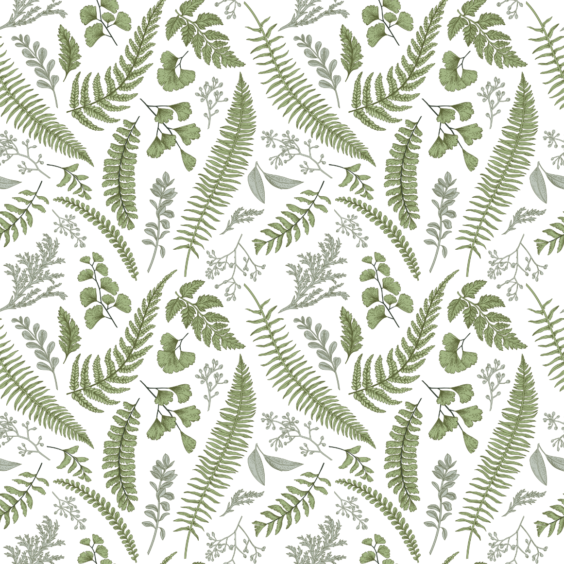 Ferns & Friends