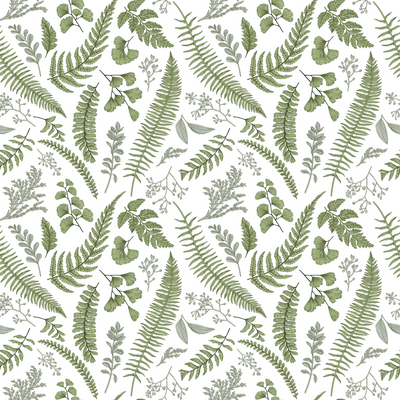 Ferns & Friends