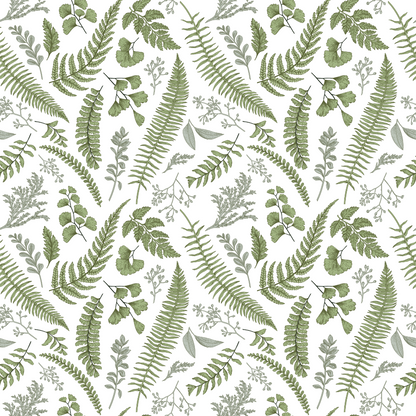 Ferns & Friends