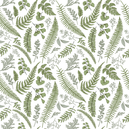 Ferns & Friends