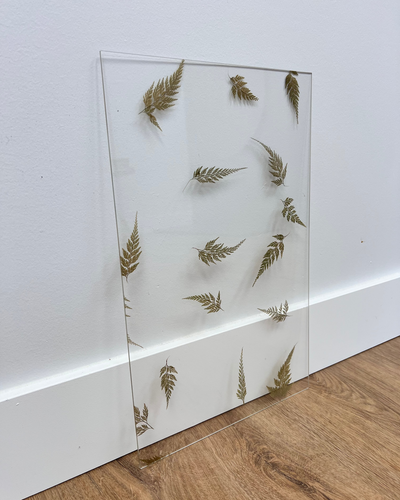 Real Pressed Ferns in Clear Acrylic