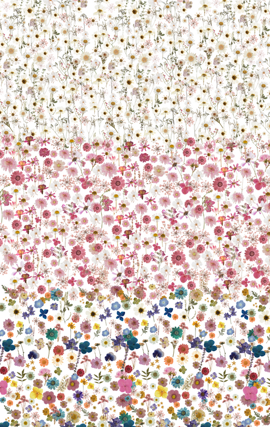 Micro Pressed Flowers Trio