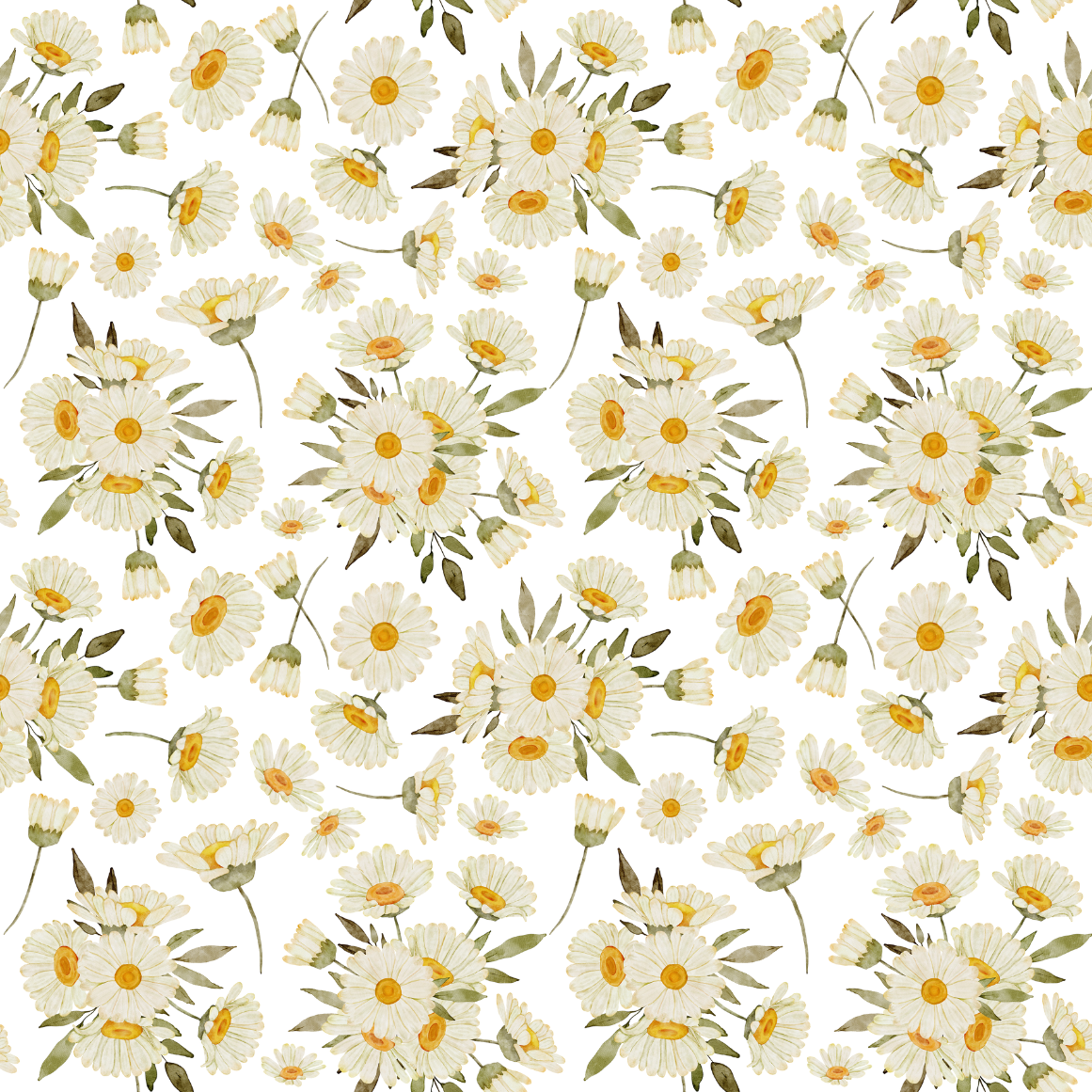 Painted Daisies