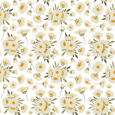 Painted Daisies