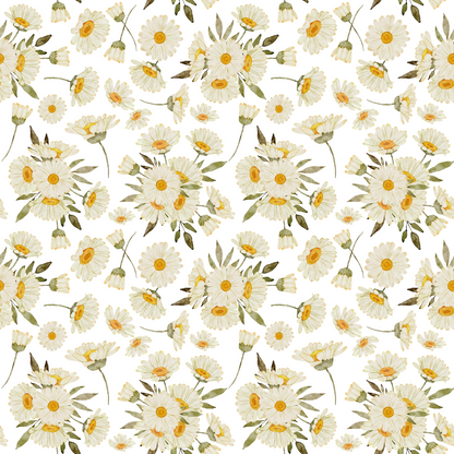 Painted Daisies