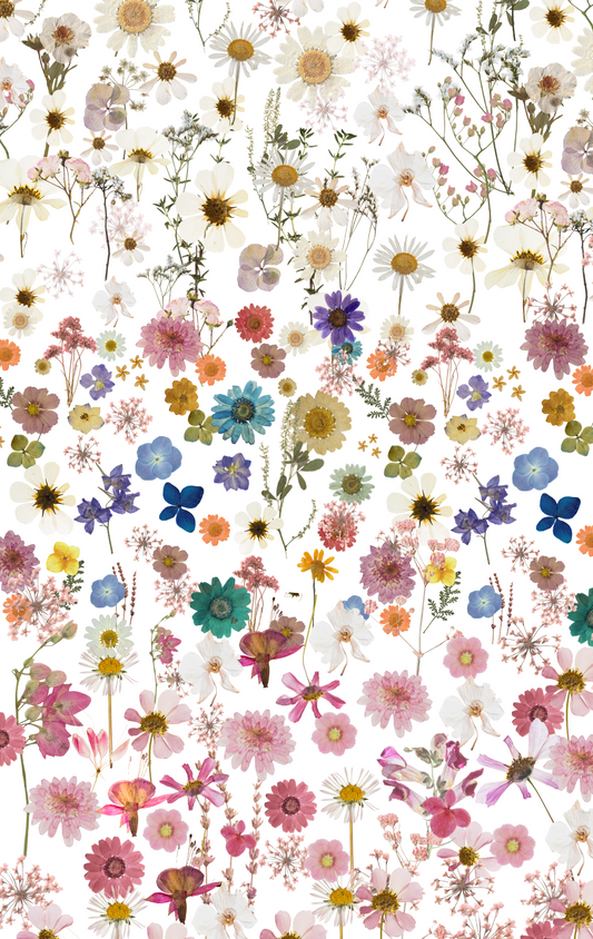 Pressed Flowers Trio