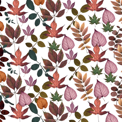 Romantic Fall Pressed Flowers