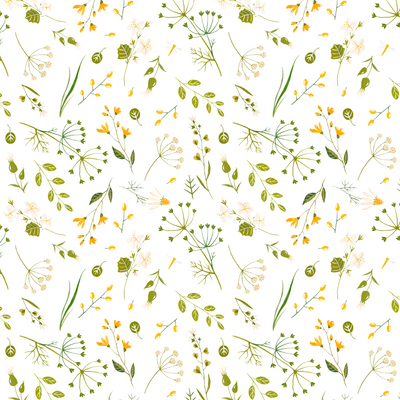 Wild flowers on white background