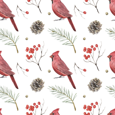 Winter Cardinals